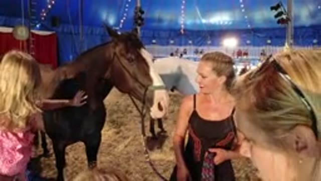 BROOMFIELD COLORADO-2019: Woman Shows Off Brown and White Horse at Equestrian Show