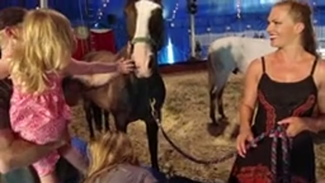BROOMFIELD COLORADO-2019: Family Is Seen Petting Calm Horse Inside Big Tent With