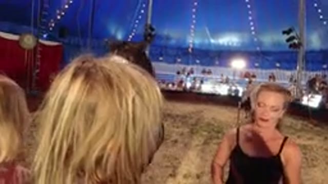 BROOMFIELD COLORADO-2019: Blonde Woman Holding Brown and White Horse Inside Circus Tent