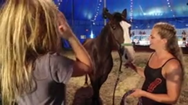 BROOMFIELD COLORADO-2019: Girls Standing In Front Of The Horse And Talking