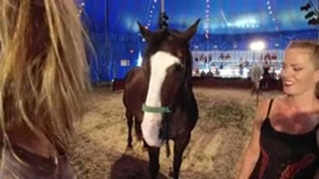BROOMFIELD COLORADO-2019: Video Of A Little Girl Talking To A Horse And A Older Woman