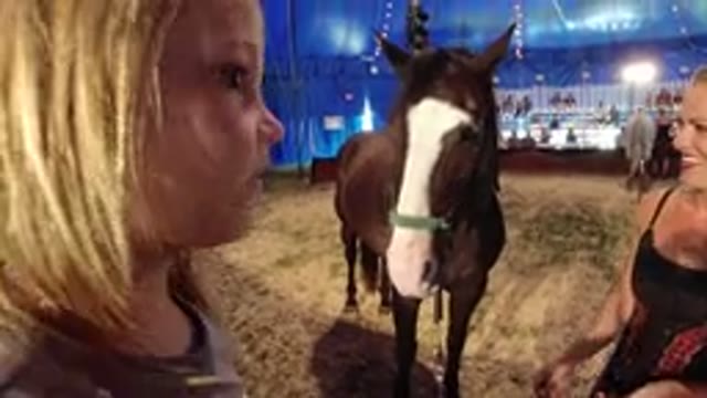 BROOMFIELD COLORADO-2019: Young Girl No Longer Wrangler Of Large Horse After