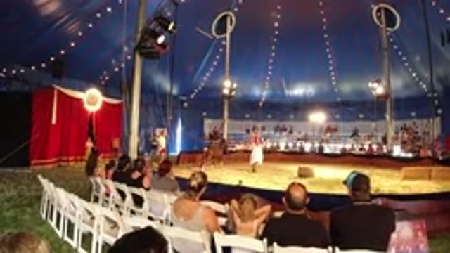 BROOMFIELD COLORADO-2019: Amazing Horse Acrobat – A Circus Act