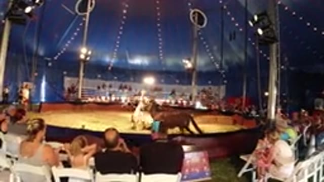 BROOMFIELD COLORADO-2019: Woman Performing In The Circus With Her Beautiful Horse