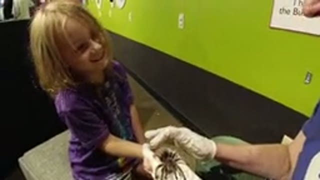 BROOMFIELD COLORADO-2019: Woman Holding Spider in Her Hand and Girl Watching