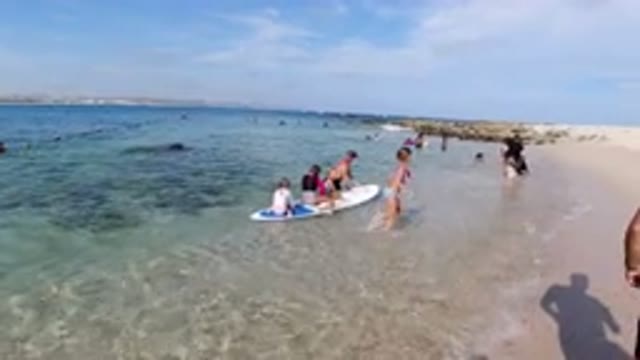 LOS CABOS MEXICO-2019: Several Children On Paddleboard Being Towed By Another
