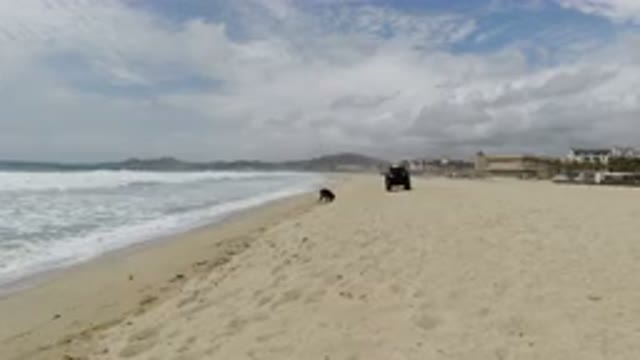 LOS CABOS MEXICO-2019: A View Of The Beach On A Cloudy Day With A Wrangler And