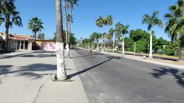 LOS CABOS MEXICO-2019: Woman Running on Road Near Trees