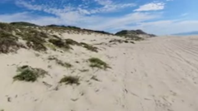LOS CABOS MEXICO-2019: A Beautiful Desert Land With Sand And Green Grass Around