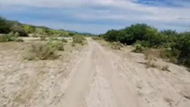 LOS CABOS MEXICO-2019: Traveling Along An Unmade Desert Road On A Very Hot Day