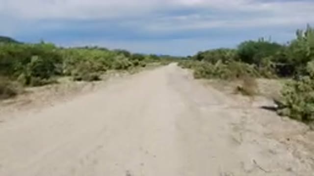 LOS CABOS MEXICO-2019: Going Through A Narrow Long Road On A Sunny Day