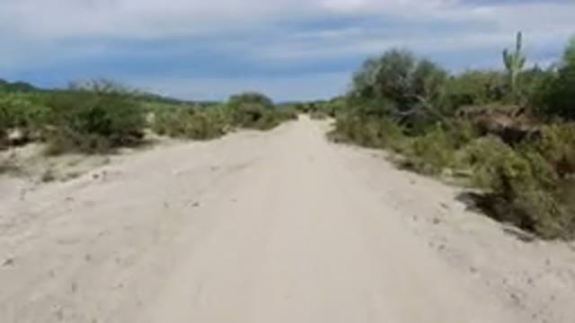 LOS CABOS MEXICO-2019: Vehicle Traveling Down An Unpaved Desert Street