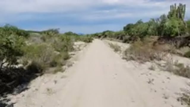 LOS CABOS MEXICO-2019: Vehicle Moves Down On A Dirt Path On Dry Conditions