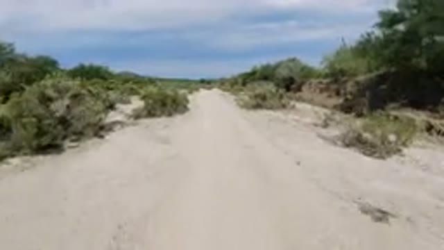 LOS CABOS MEXICO-2019: Fast Driving Endlessly Through Sunlit Sands and Trees