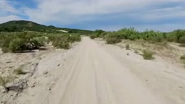 LOS CABOS MEXICO-2019: Off-Road Driving on Sandy Track Through Scrub Brush