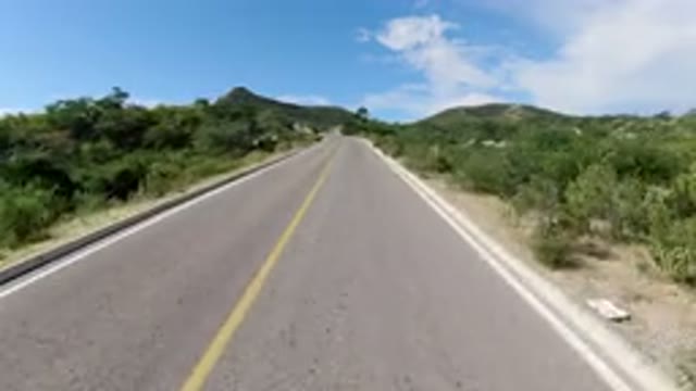 LOS CABOS MEXICO-2019: A Camera Running Along An Empty Road Amidst Bushes And Trees