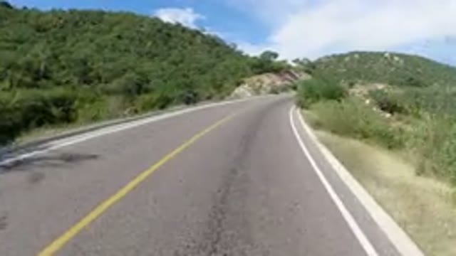 LOS CABOS MEXICO-2019: Wrangler Camera Showing Road With Lots Of Trees And Bushes