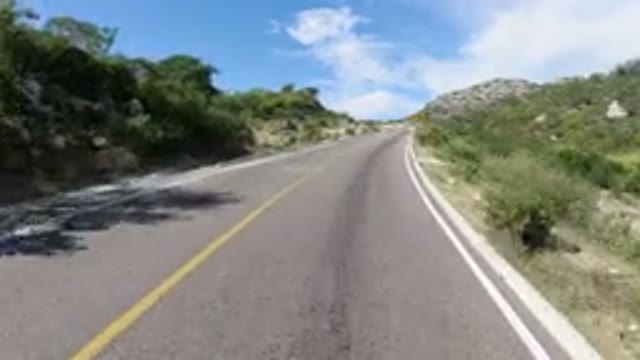 LOS CABOS MEXICO-2019: A Straight Road With Green Trees and Grass on Both Sides