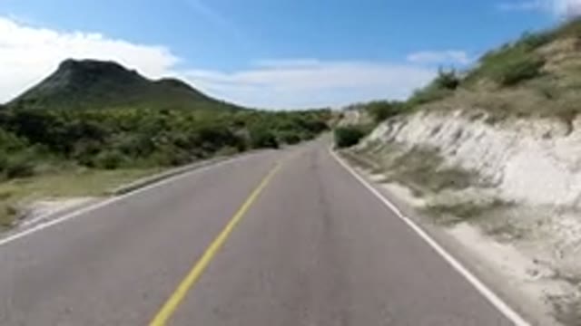 LOS CABOS MEXICO-2019: Road Trip Through Trees With Speedy Vehicle Journey