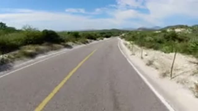 LOS CABOS MEXICO-2019: Fantastic Single Road Track With Trees Around
