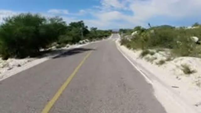 LOS CABOS MEXICO-2019: Park Setting With People Walking Among Trees