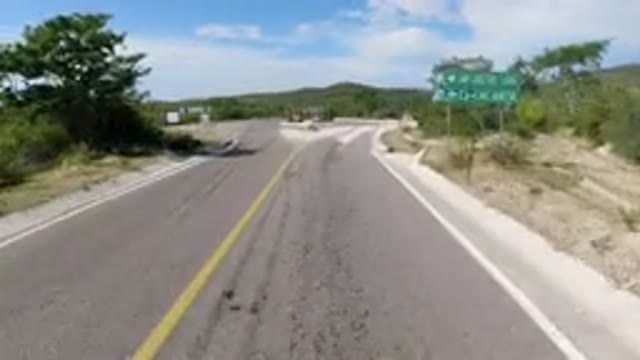 LOS CABOS MEXICO-2019: View Traveling Along A Road Flanked By Trees
