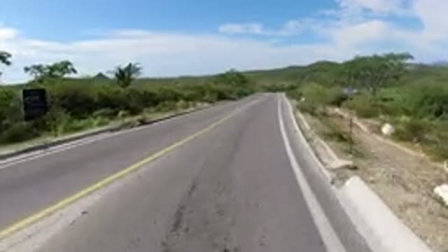 LOS CABOS MEXICO-2019: One Wrangler Traveling on Road Side Trees Sky
