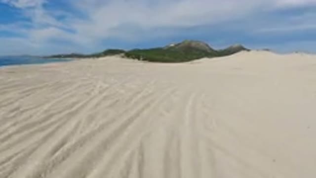 LOS CABOS MEXICO-2019: Tropical Island With Sand And Green Trees