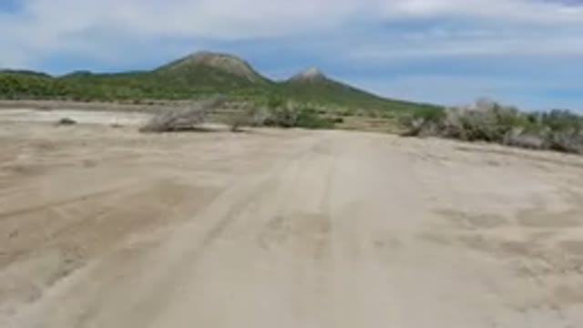 LOS CABOS MEXICO-2019: A Dry Land Has Been Covered on the Other Side With Trees