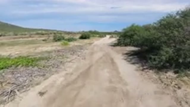 LOS CABOS MEXICO-2019: Wrangler Riding On Dirt Road With Fork In A Sunny Day