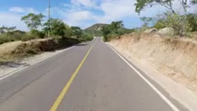 LOS CABOS MEXICO-2019: Driving Through The Highway With Plenty Of Beautiful Trees