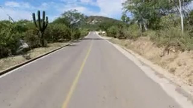 LOS CABOS MEXICO-2019: Driving Through A Country Road With Moderate Foliage