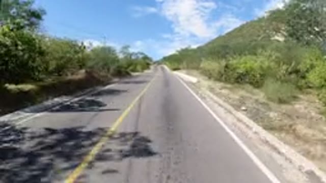 LOS CABOS MEXICO-2019: Traveling Down a Two-Lane Road Lined with Bushes and Trees