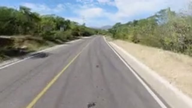LOS CABOS MEXICO-2019: A Camera Moving On An Empty Road In The Middle Of The Woods