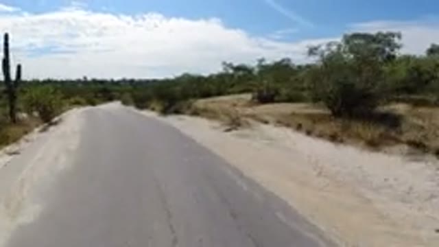 LOS CABOS MEXICO-2019: Vehicle Moves Down Winding Road Trees And Shrubs On