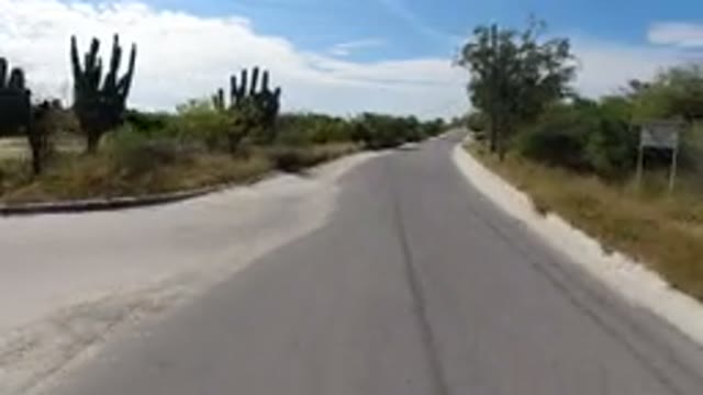 LOS CABOS MEXICO-2019: Good Single Road Track With Beautiful Trees Around