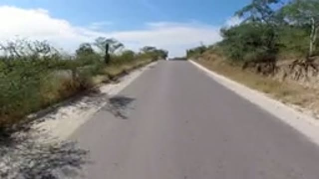 LOS CABOS MEXICO-2019: Vehicle Moves Down Divided City Street With Shrubs On Either Side