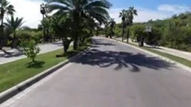LOS CABOS MEXICO-2019: Driving On A Paved Road With Palm Trees On The Side Of