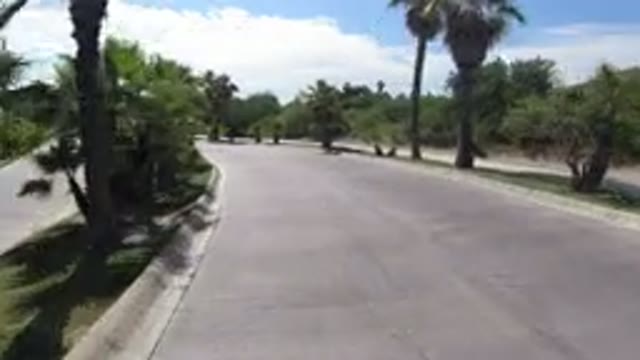 LOS CABOS MEXICO-2019: Driving Fast On A Highway Surrounded By Trees