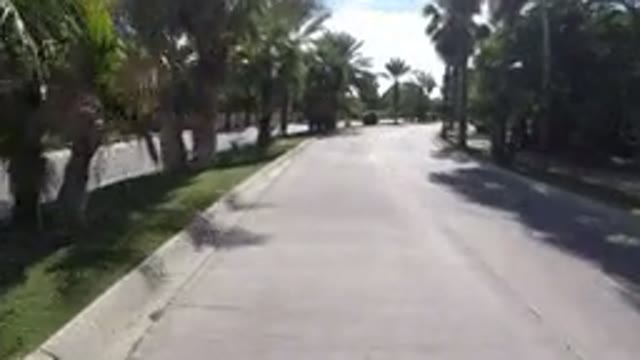 LOS CABOS MEXICO-2019: Vehicle Moves Down Divided City Street Palm Trees On