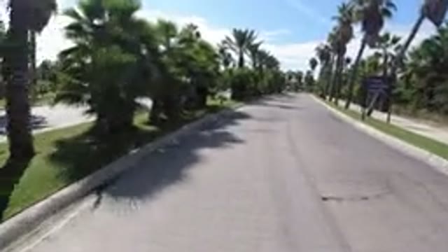 LOS CABOS MEXICO-2019: Amazing Video Of A Wrangler Driving Down The Tropical Road