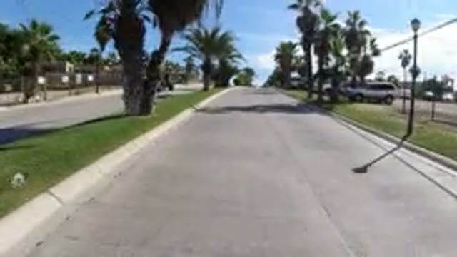 LOS CABOS MEXICO-2019: Driving Fast Down An Asphalt Road In Neighborhood With Palm Trees