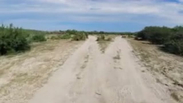 LOS CABOS MEXICO-2019: Driving Through The Desert With Surprisingly Good Amount Of Vegetation
