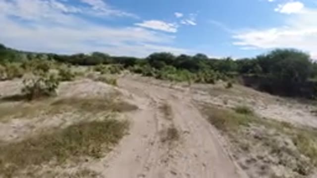 LOS CABOS MEXICO-2019: Dry Land With Rocks And Dry Grasses