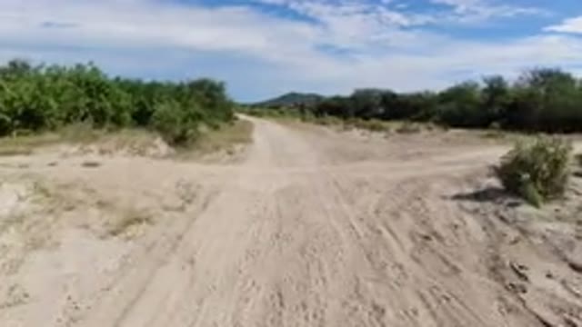 LOS CABOS MEXICO-2019: A Vehicle Travels Quickly Down A Dirt Road Amid A