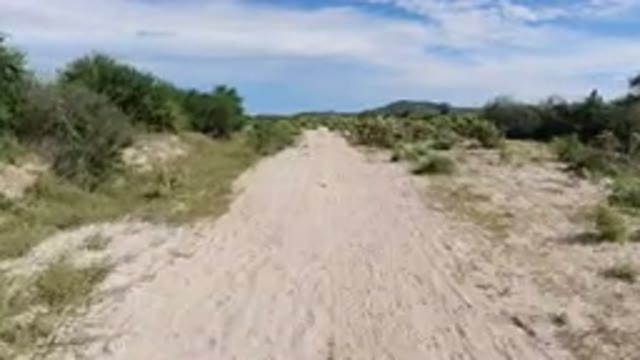LOS CABOS MEXICO-2019: Traveling On The Rough Road Through Desert Sky And Clouds