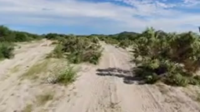 LOS CABOS MEXICO-2019: A Desert Street With Grass On The Sides In A Sunny Day