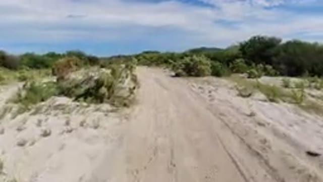 LOS CABOS MEXICO-2019: A View From A Vehicle Traveling Rapidly On A Dirt Road