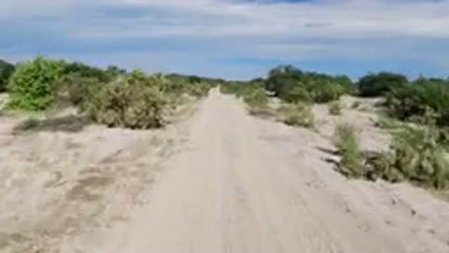 LOS CABOS MEXICO-2019: Traveling Through The Desert On A Sunny Day
