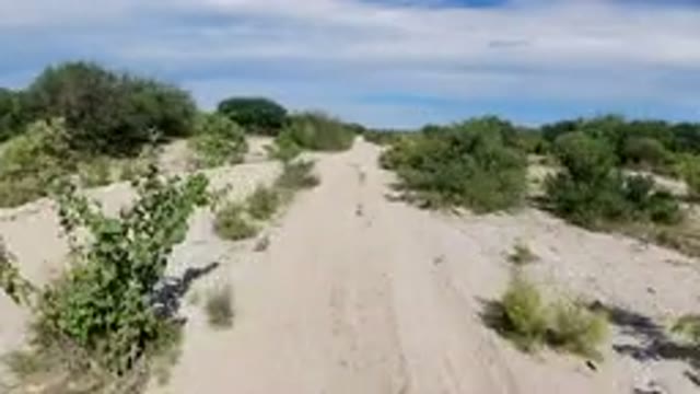 LOS CABOS MEXICO-2019: Video Of A Man Riding Down A Sandy Path Fast And Speedy